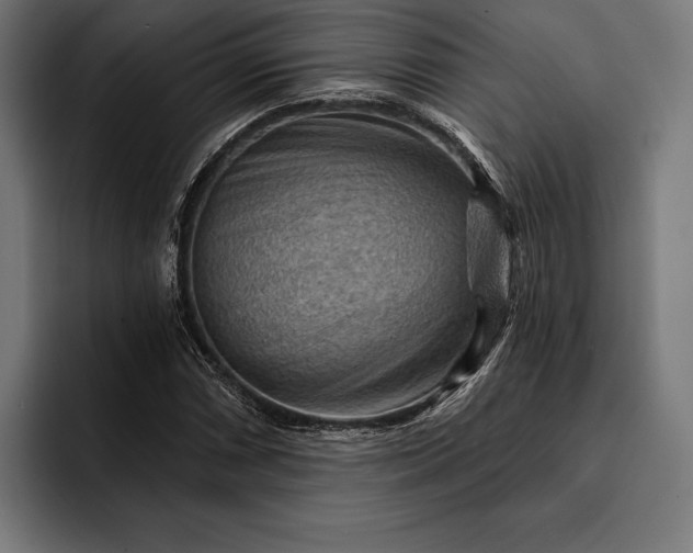 X0000093111066200710101018