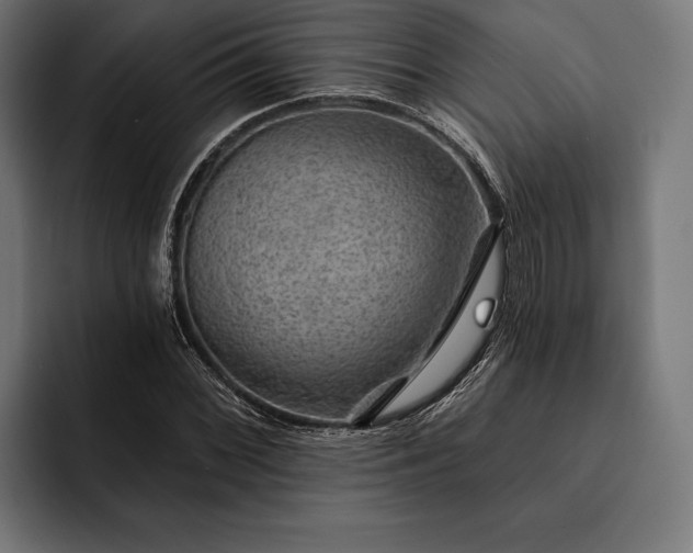 X0000093111068200710101018