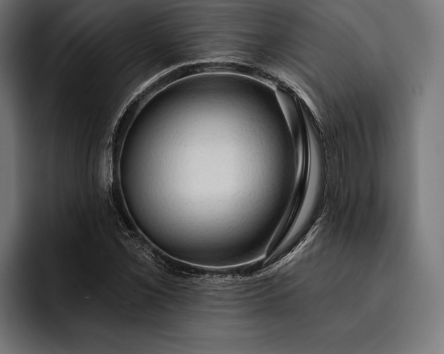 X0000093111069200710101018