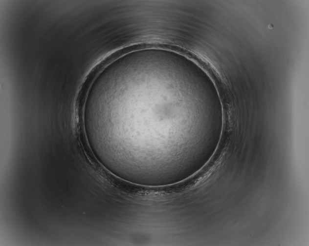 X0000093111070200710101018