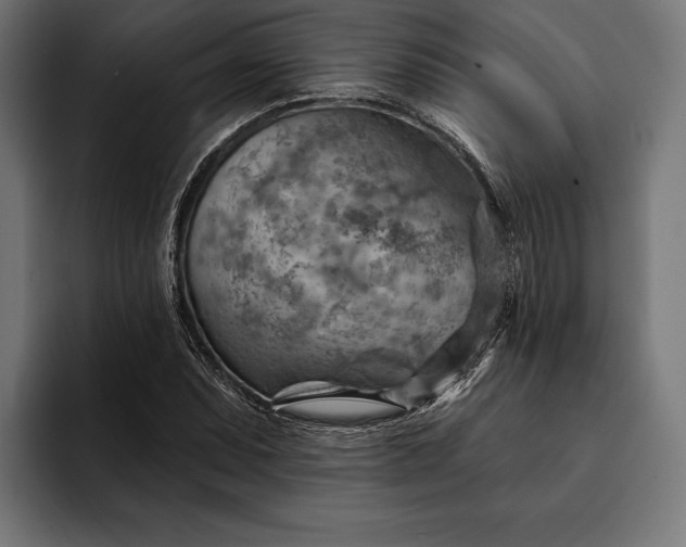 X0000093111071200710101018