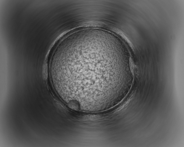 X0000093111075200710101018