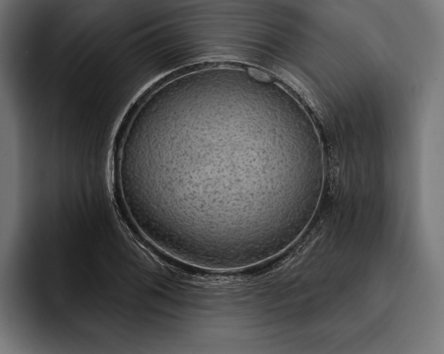 X0000093111076200710101018