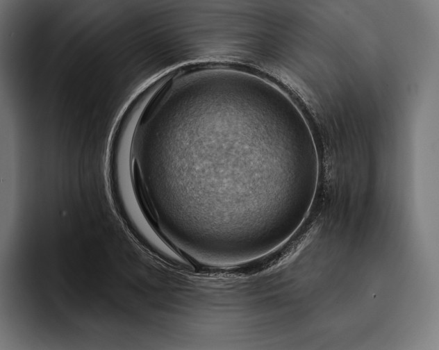 X0000093111077200710101017