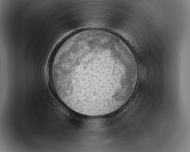 X0000093111078200710101017