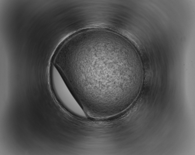 X0000093111079200710101017