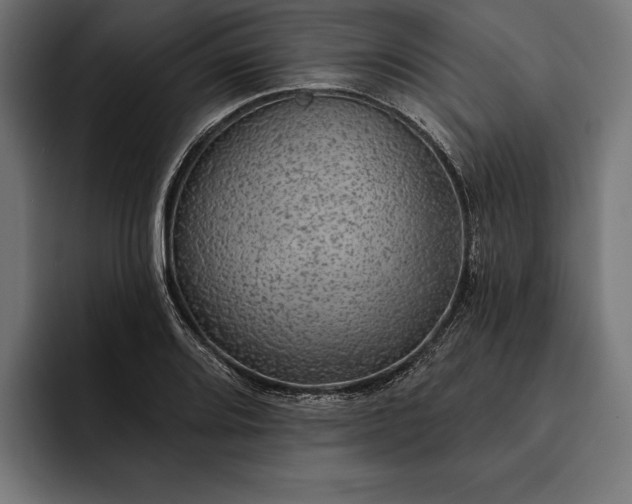 X0000093111080200710101017