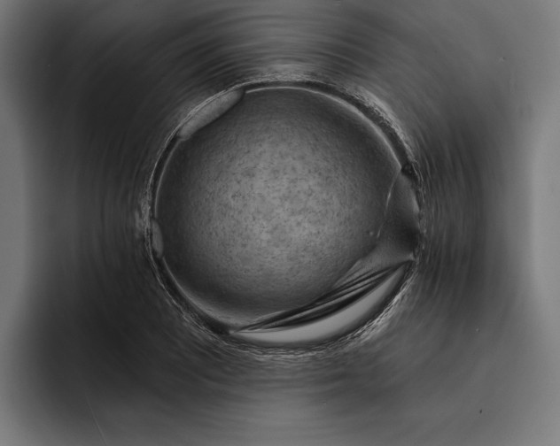 X0000093111081200710101017