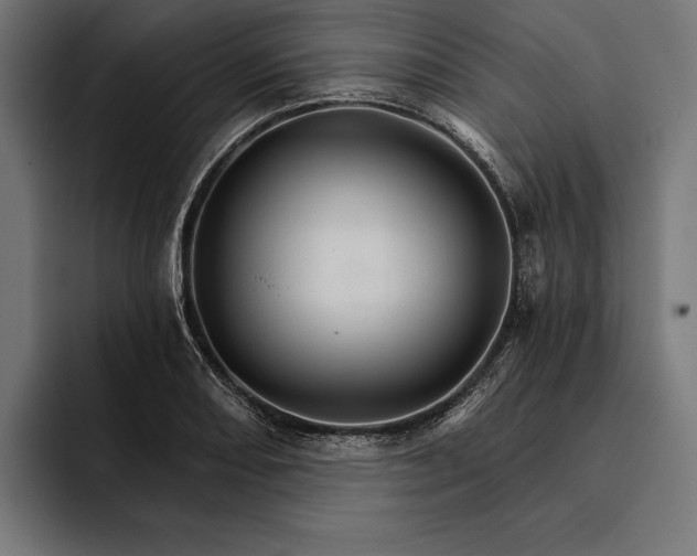 X0000093111082200710101017