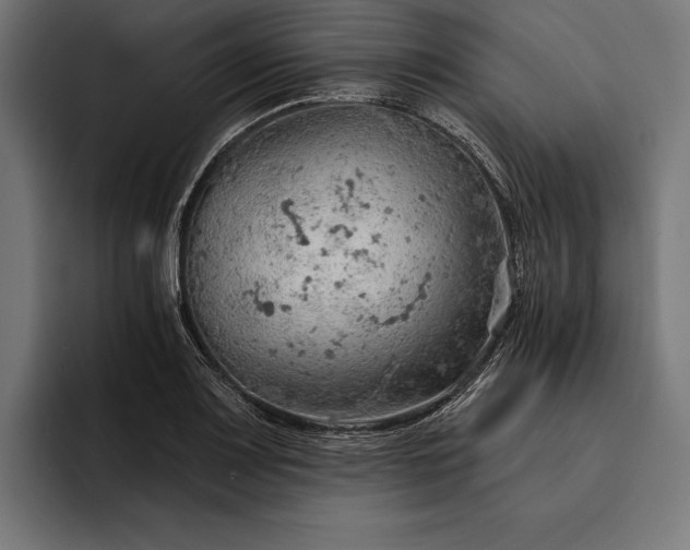 X0000093111083200710101017