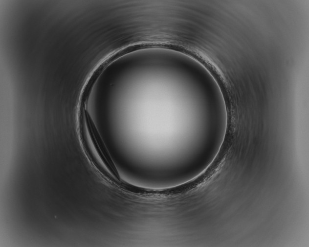 X0000093111085200710101017