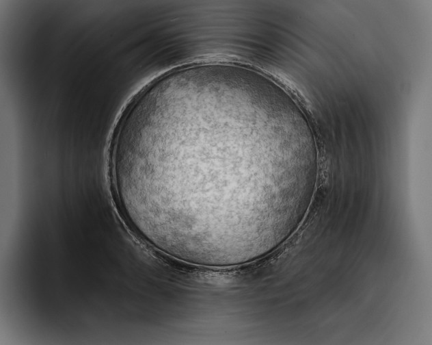 X0000093111086200710101017