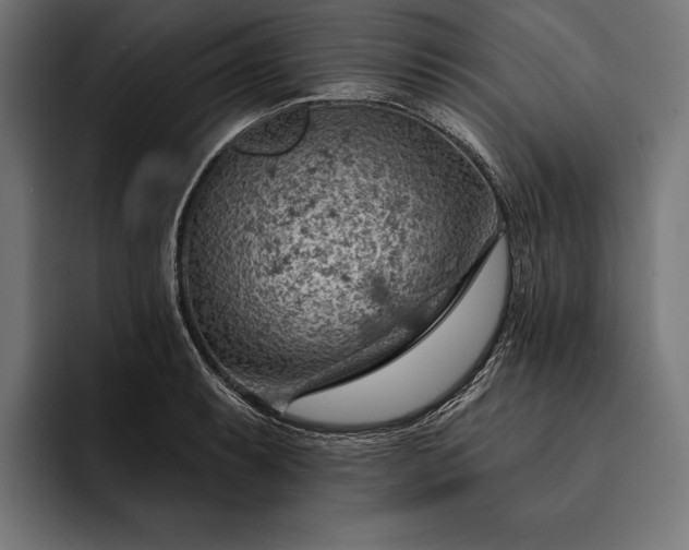 X0000093111087200710101017