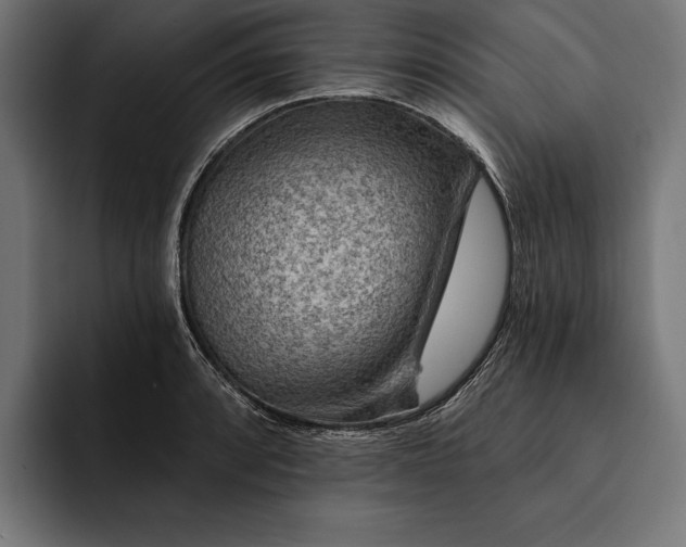 X0000093111088200710101017