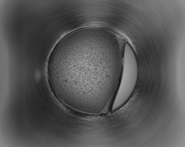 X0000093111091200710101017