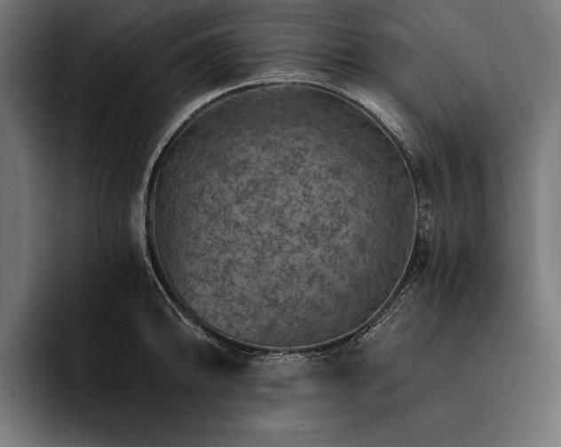 X0000093111094200710101017