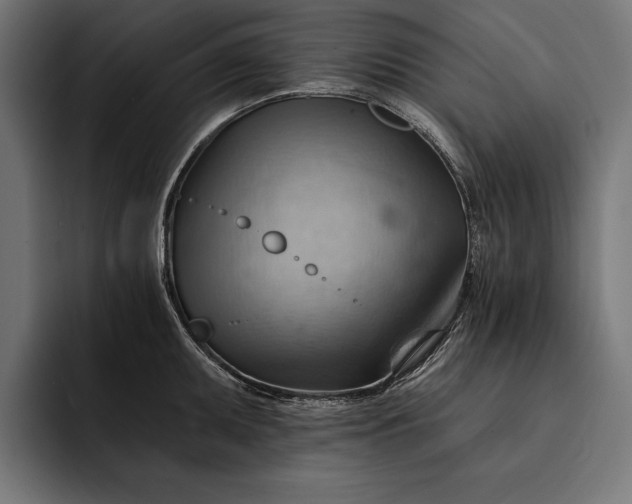 X0000093111095200710101017