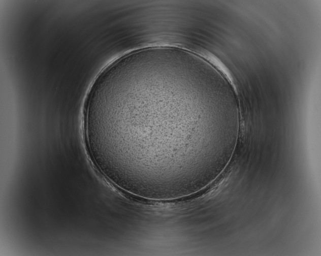 X0000093111096200710101017