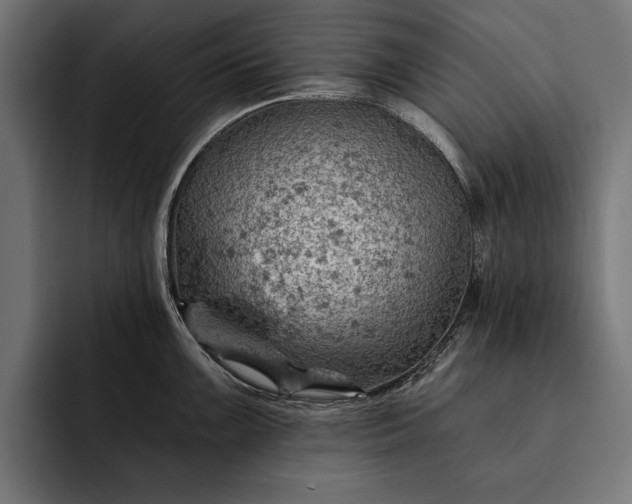 X0000093111099200710101017