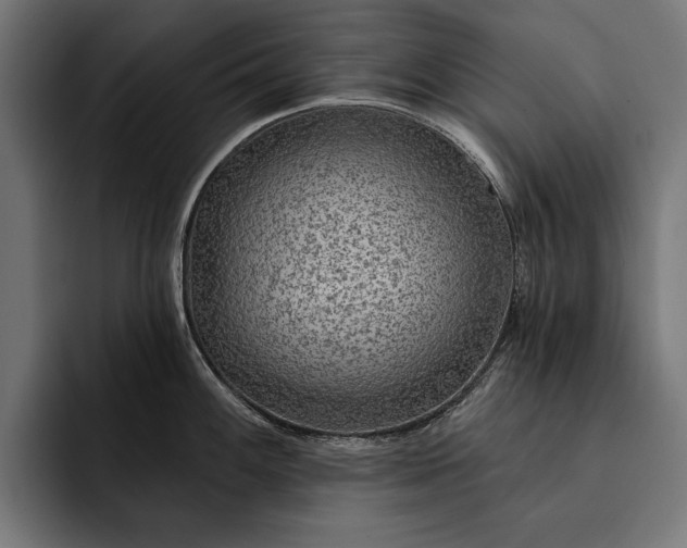 X0000093111100200710101017