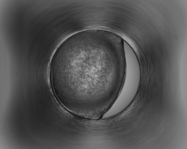 X0000093111102200710101017