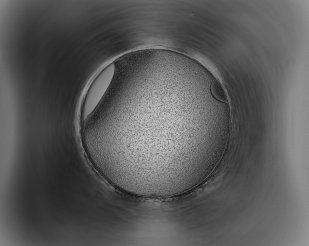 X0000093111104200710101017