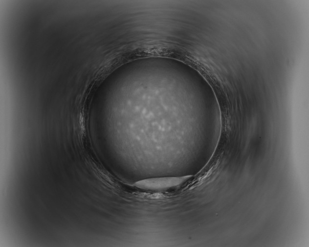 X0000093111106200710101016