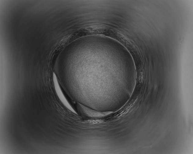 X0000093111108200710101016