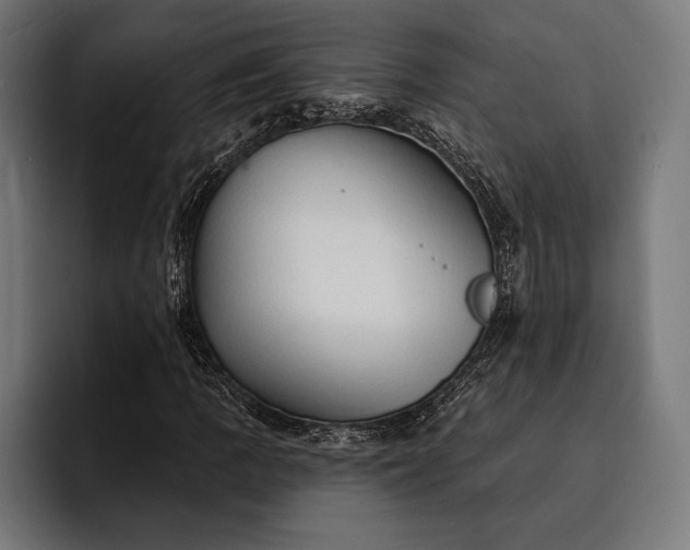 X0000093111109200710101016