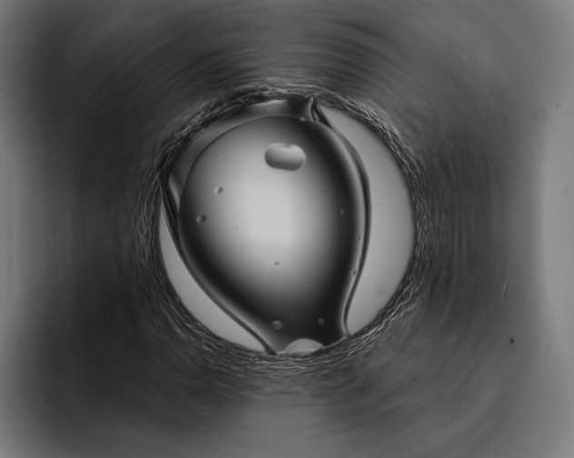 X0000093111110200710101017