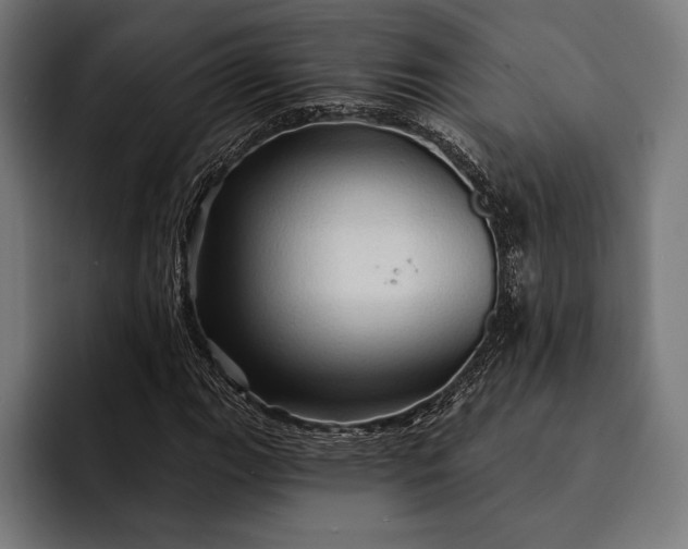 X0000093111111200710101017