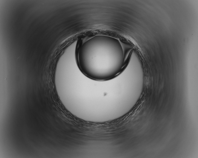 X0000093111112200710101017