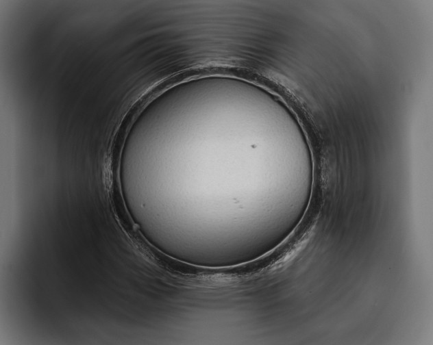 X0000093111113200710101017