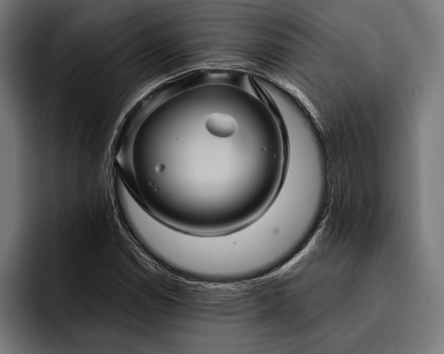 X0000093111114200710101017