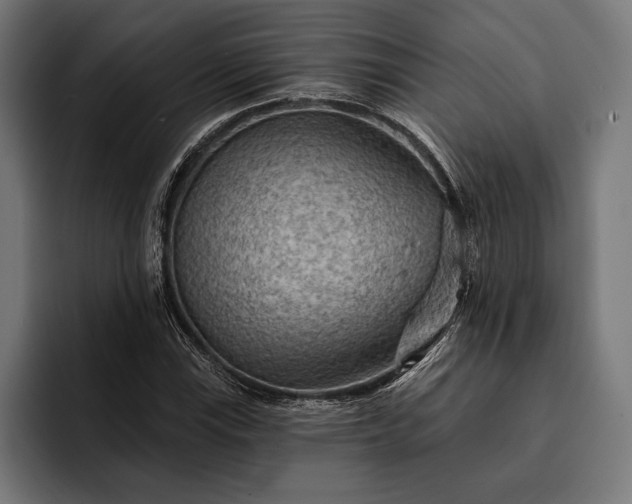 X0000093111115200710101017