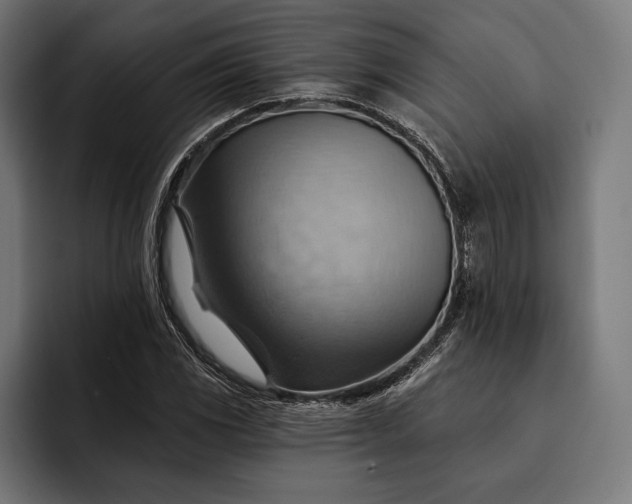 X0000093111117200710101017