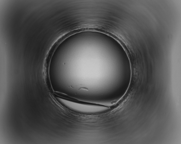 X0000093111119200710101017