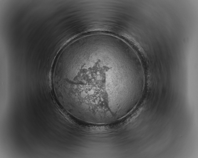 X0000093111121200710101017