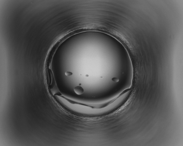 X0000093111122200710101017