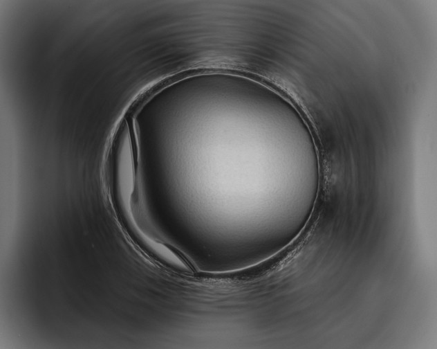 X0000093111123200710101017