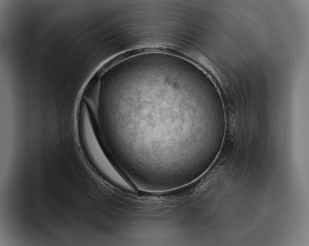 X0000093111124200710101017