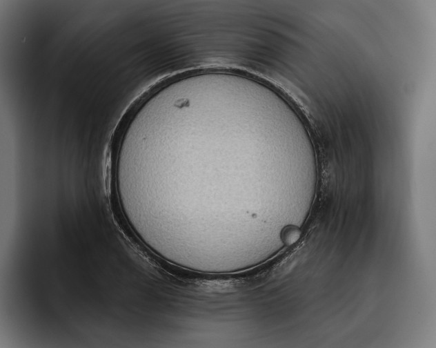 X0000093111126200710101017