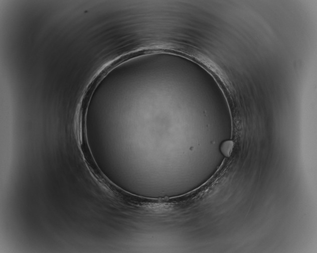 X0000093111127200710101017