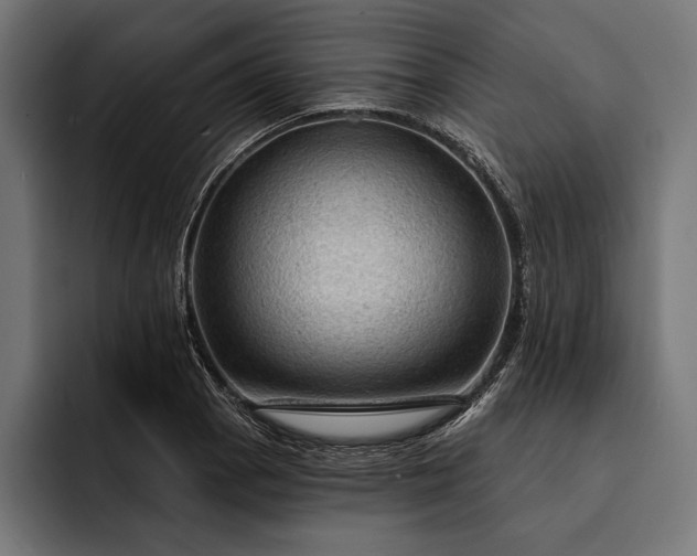 X0000093111129200710101017