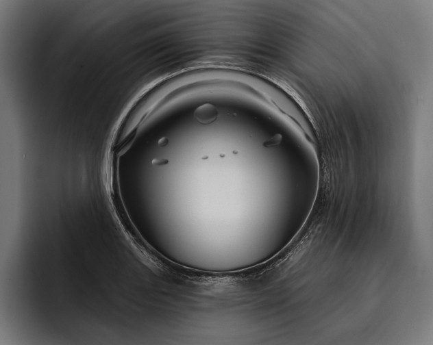 X0000093111131200710101017