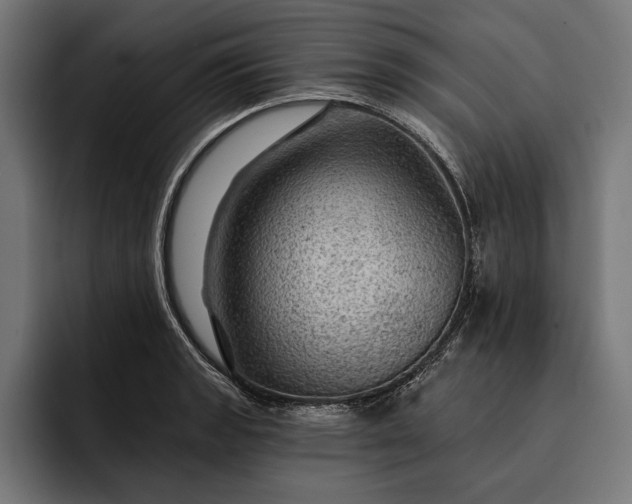 X0000093111133200710101017