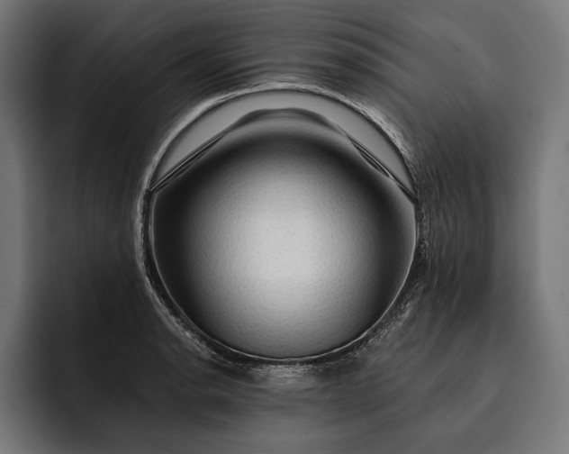 X0000093111134200710101017