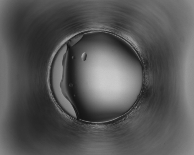 X0000093111136200710101017