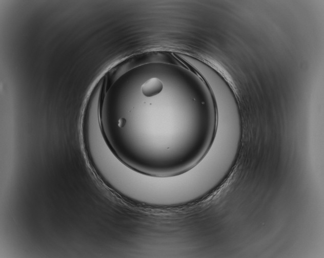 X0000093111138200710101017