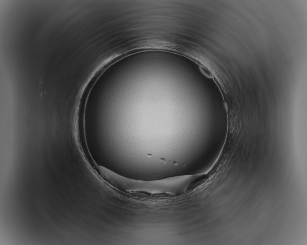 X0000093111139200710101017